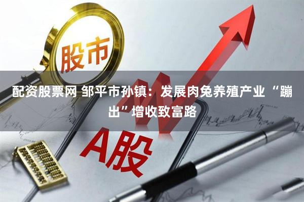 配资股票网 邹平市孙镇：发展肉兔养殖产业 “蹦出”增收致富路